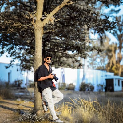 Raju Mehra