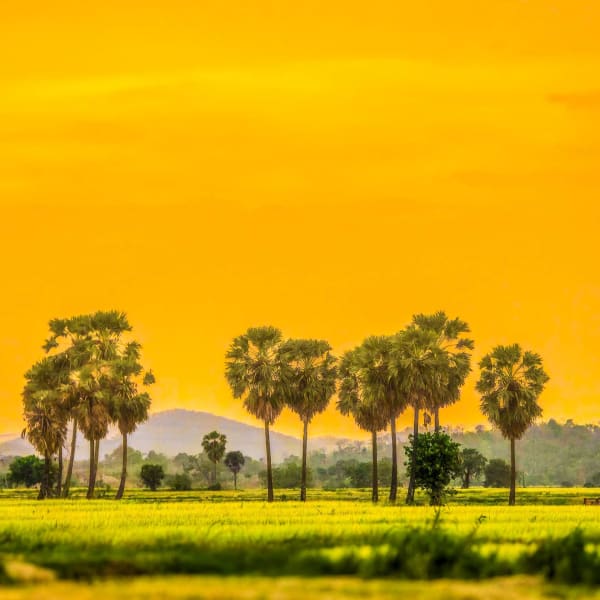 Venu portfolio photo 7