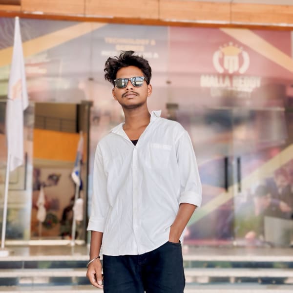 Sathish Naidu portfolio photo 1